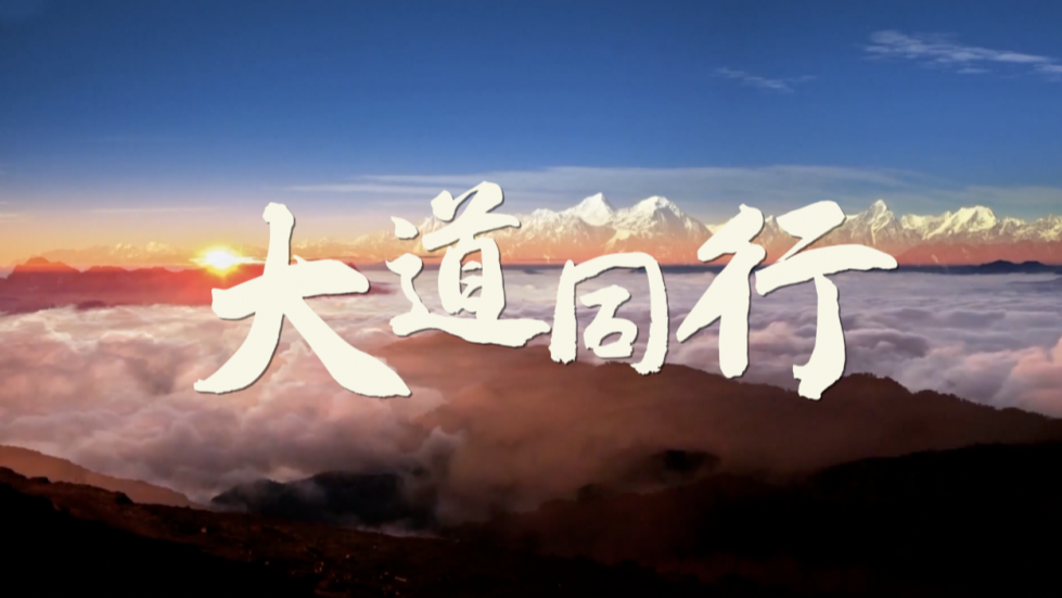 微視頻丨大道同行