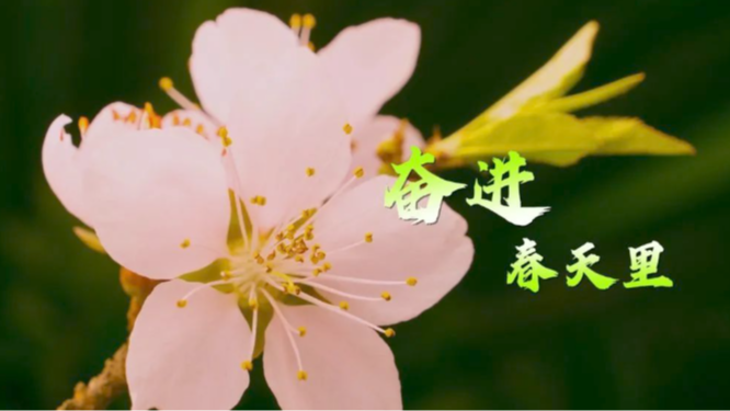 微視頻｜奮進春天里