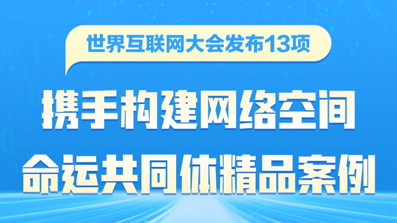 一圖速覽2024年“攜手構建網(wǎng)絡空間命運共同體精品案例”