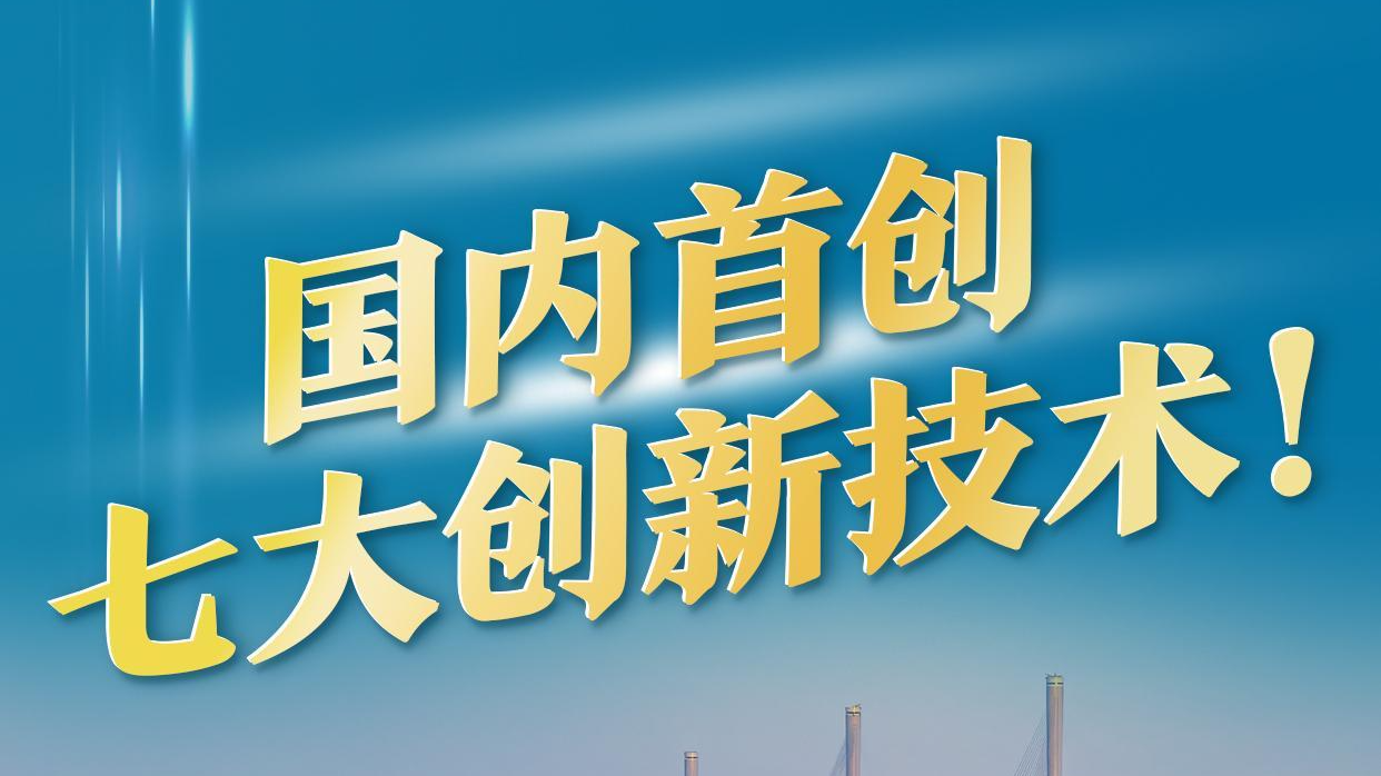 一圖讀懂｜大灣區(qū)第三座國(guó)家級(jí)跨海通道，有何不一樣？