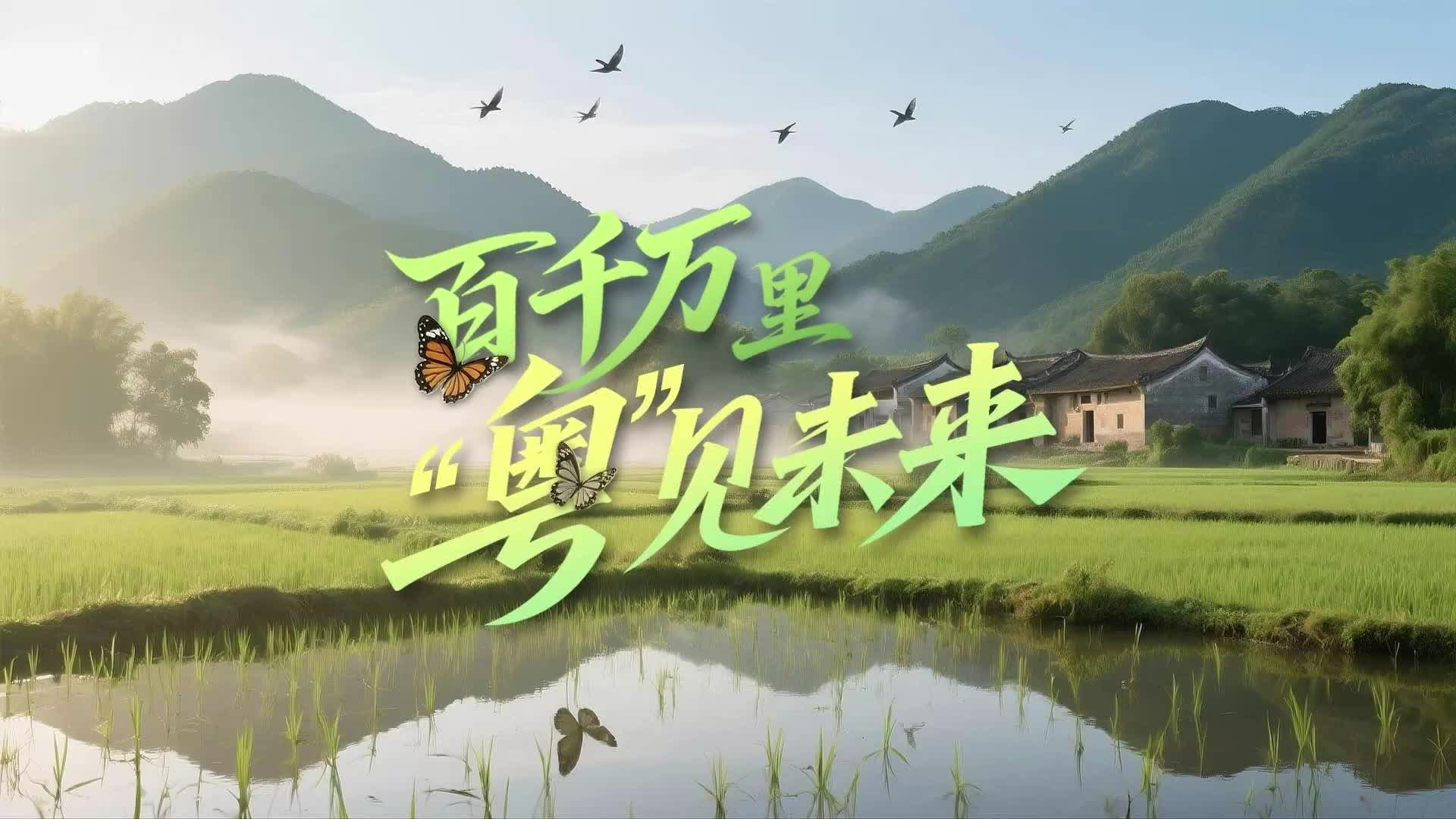 百千萬(wàn)里“粵”見(jiàn)未來(lái)