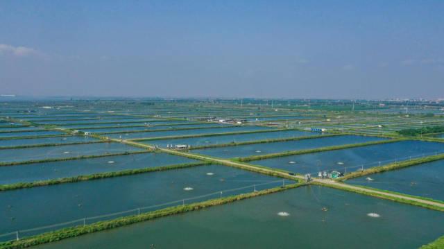 南沙漁業(yè)產(chǎn)業(yè)園航拍圖