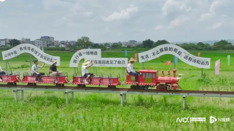 墨園村稻田小火車。