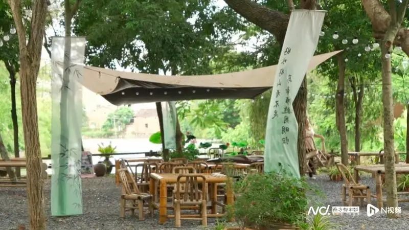 墨園村“圍爐煮茶”茶野小館。