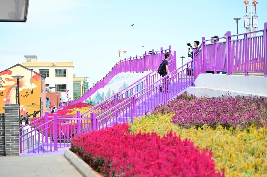 高明蘇村煥然一新。