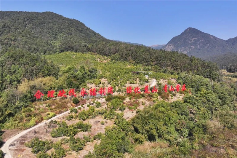 肇慶懷集縣岳山林場。肇慶市融媒體中心記者 吳勇強 攝