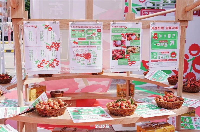*一路順“荔”進莞來 2025東莞荔枝文化周現(xiàn)場圖