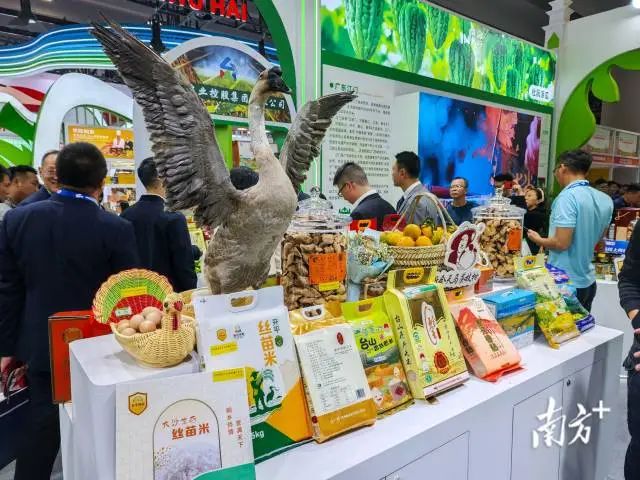 江門優(yōu)品亮相農(nóng)交會(huì)。南方+ 申紅洲 拍攝