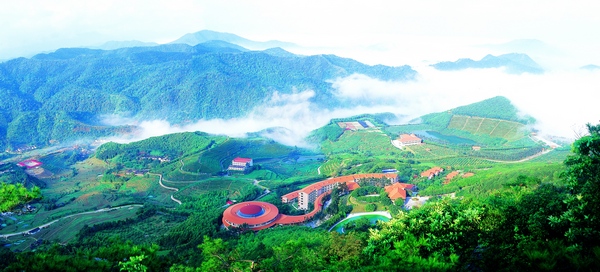 雁南飛茶田景區(qū)